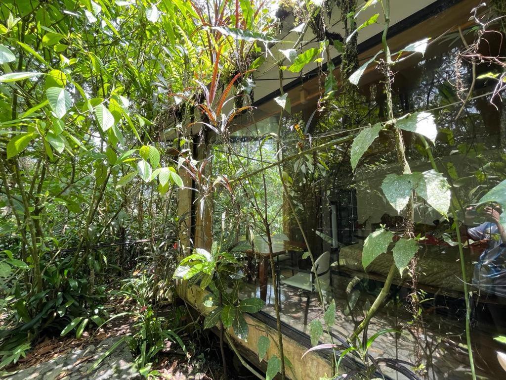 Cantalarana Lodge มินโด ภายนอก รูปภาพ
